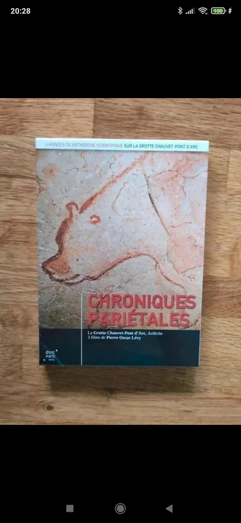 Coffret DVD Grotte Chauvet Chroniques pariétales documentaire
